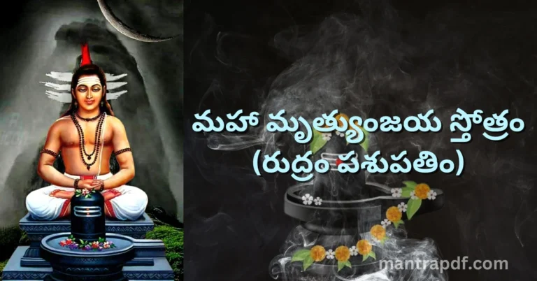 Maha Mrityunjaya Stotram - Rudram Pasupatim