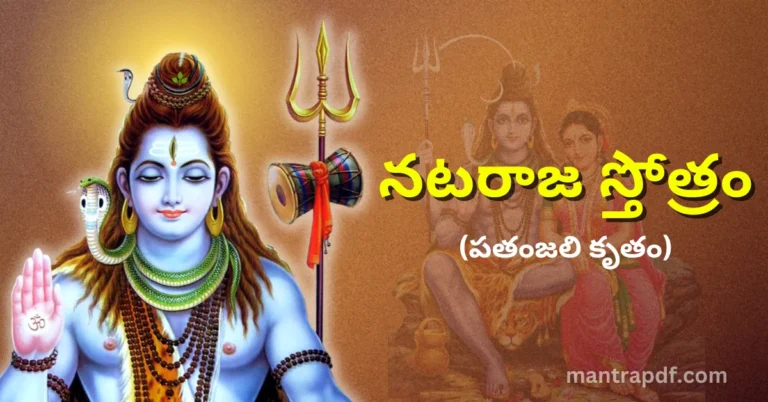 Nataraja Stotram