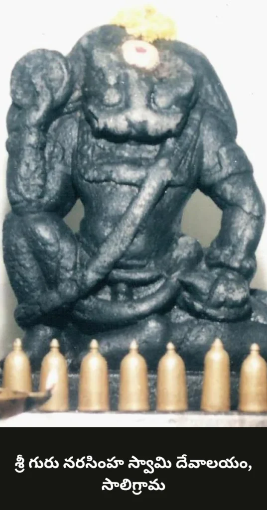 Saligrama Guru Narasimha Swamy