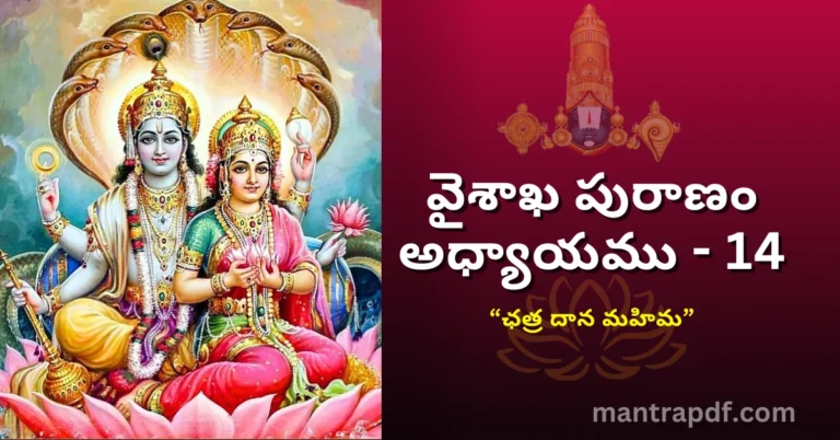 Vaisakha Puranam - Day 14