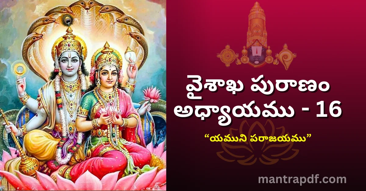 Vaisakha Puranam - Day 16