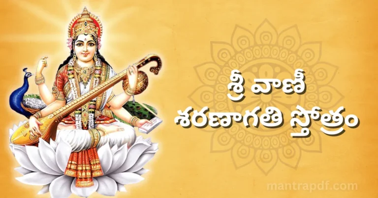 Sri Vani Saranagathi Stotram