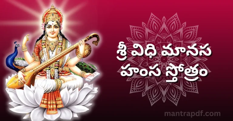 Sri Vidhi Manasa Hamsa Stotram
