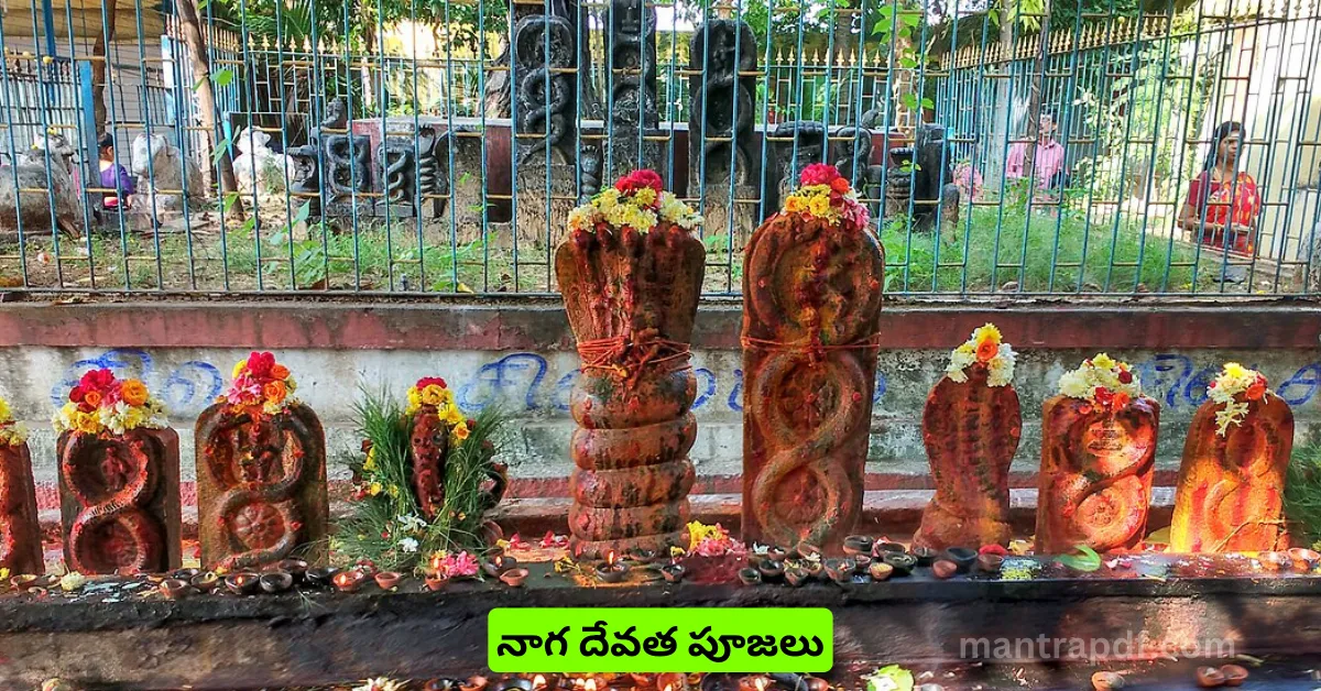 Nagula Chavithi