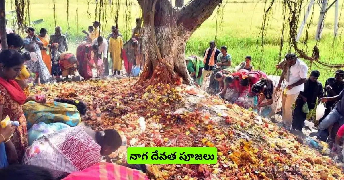 Naga Panchami 1