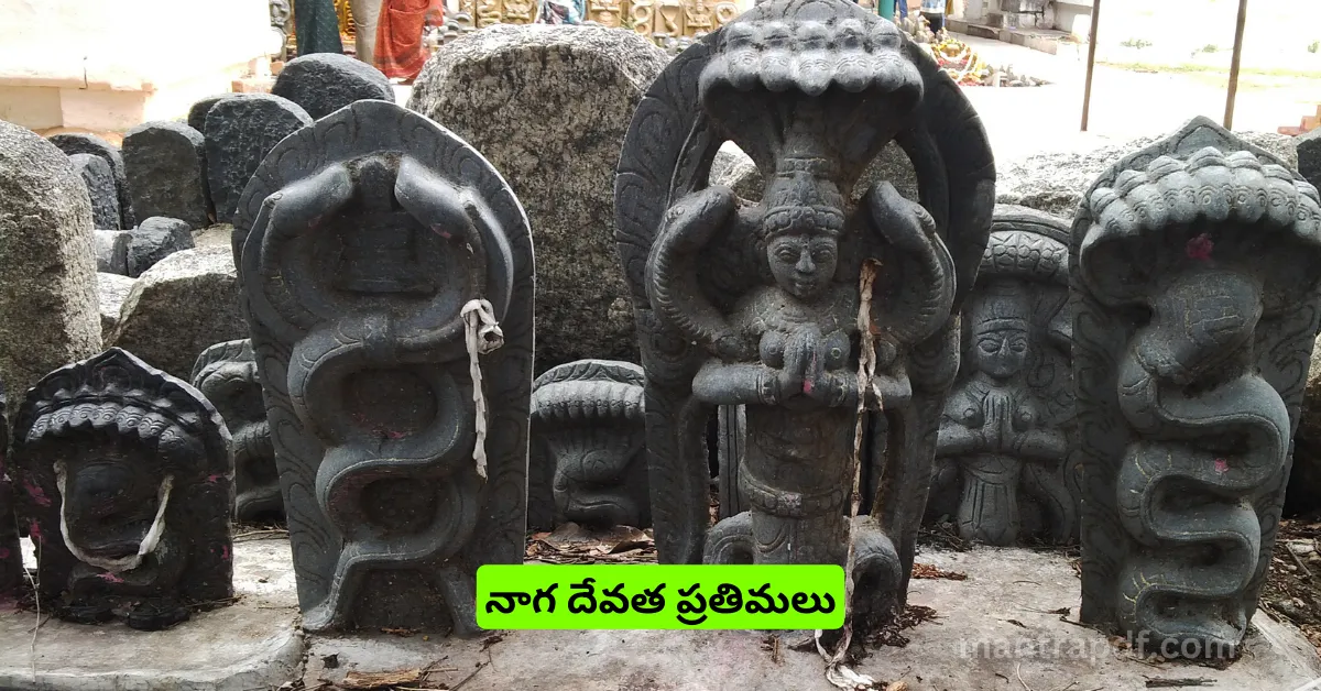 naga chaturthi